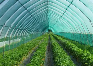 3x50 Meters Green House Net