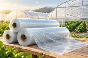 ( 3 X 100 Meters )Polyethylene Green House Cover