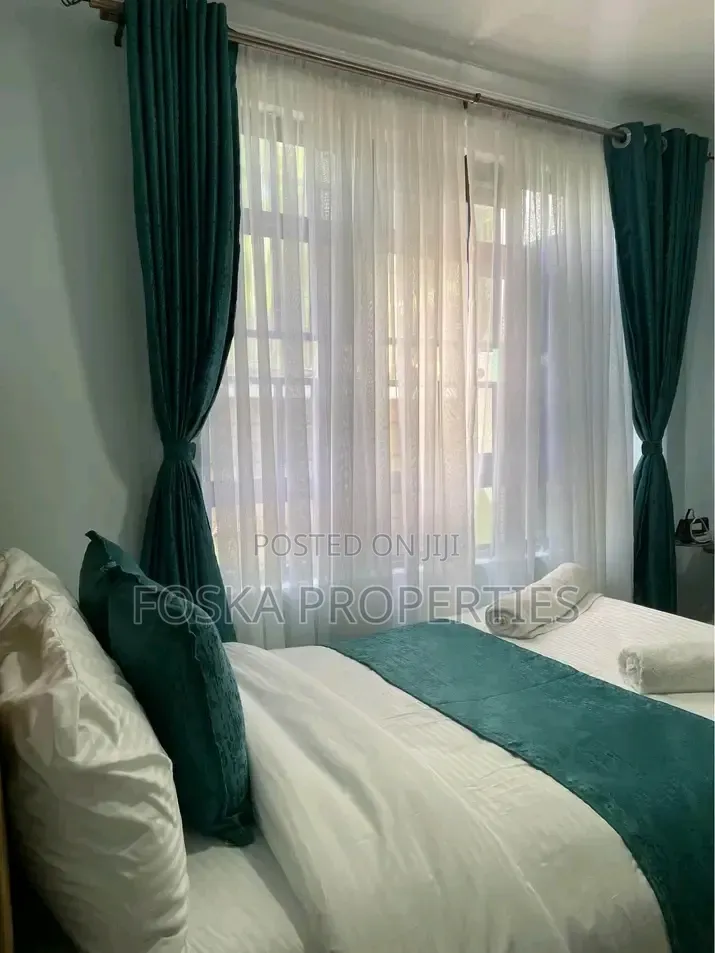Furnished 1bdrm Apartment in Kansanga, Central Division for rent