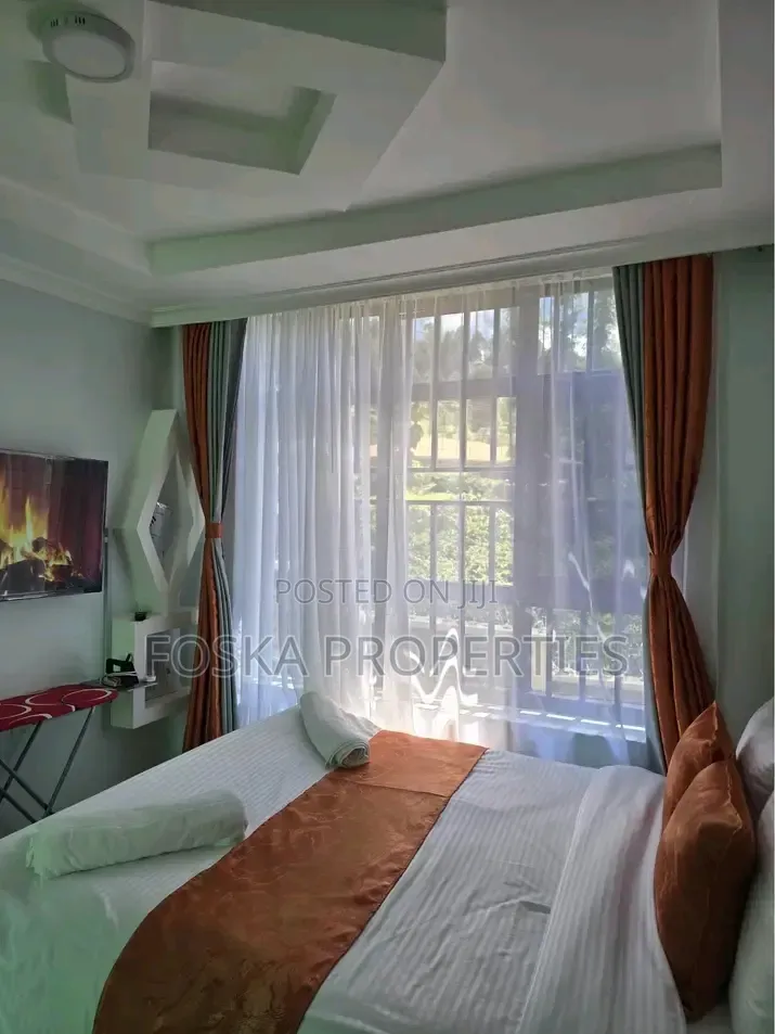 Furnished 1bdrm Apartment in Kansanga, Central Division for rent