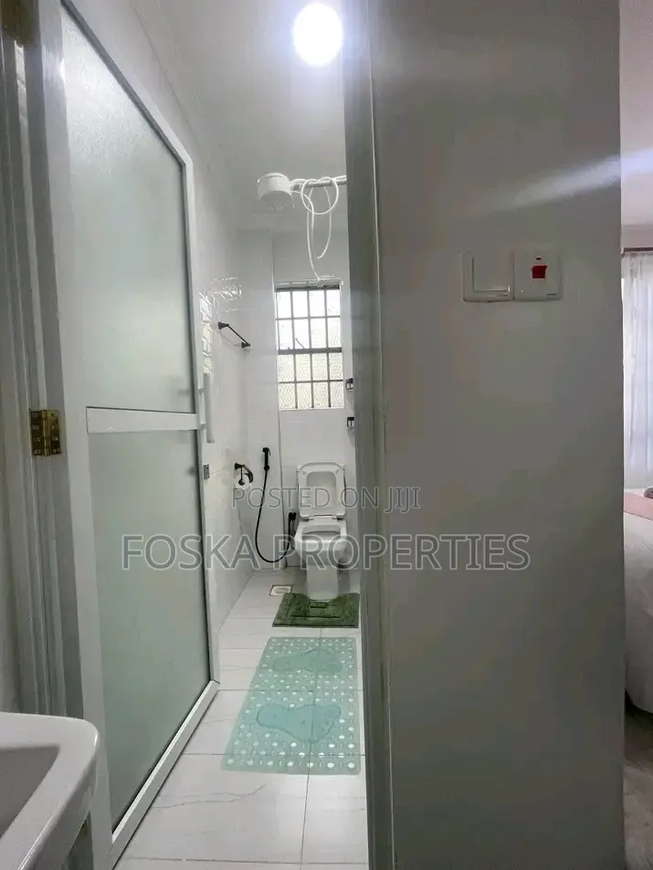 Furnished 1bdrm Apartment in Kansanga, Central Division for rent
