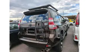Toyota Land Cruiser 2012 Brown