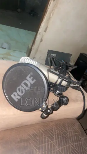 Rode Nt 1a