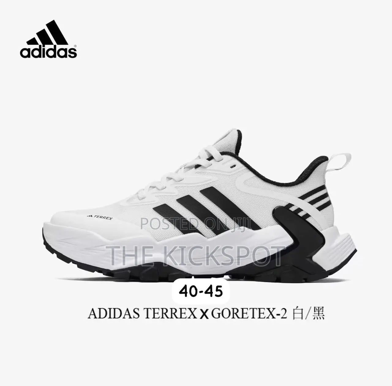 Adidas Terrex X Gortex