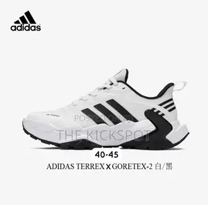 Adidas Terrex X Gortex