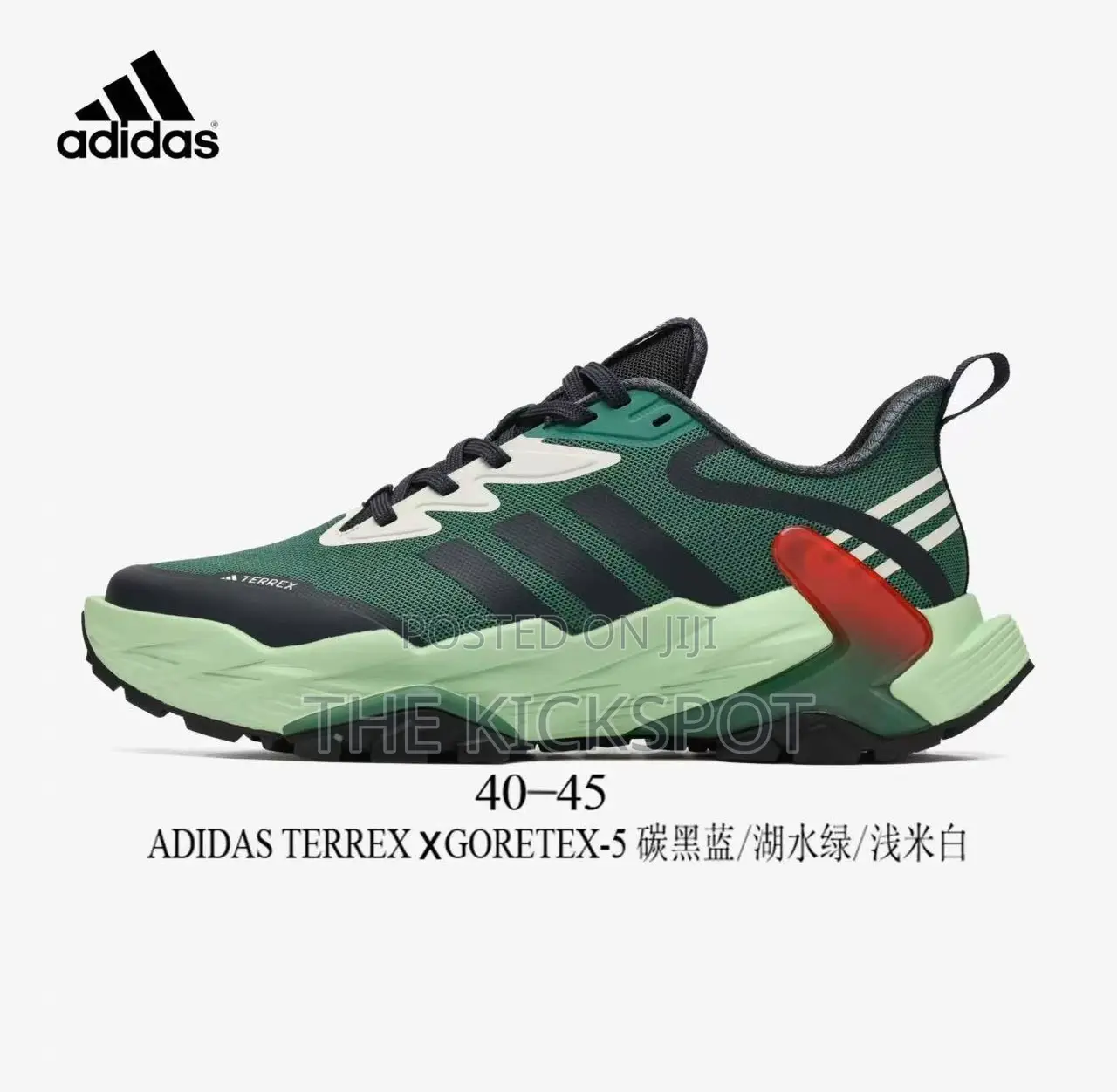 Adidas Terrex X Gortex