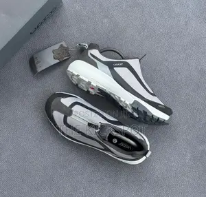 Ecco Shoes