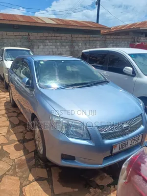 Toyota Corolla Fielder 2010 Blue