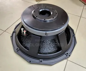 21 Inch Heavy Duty Naked/Component Professional Subwoofer Speaker