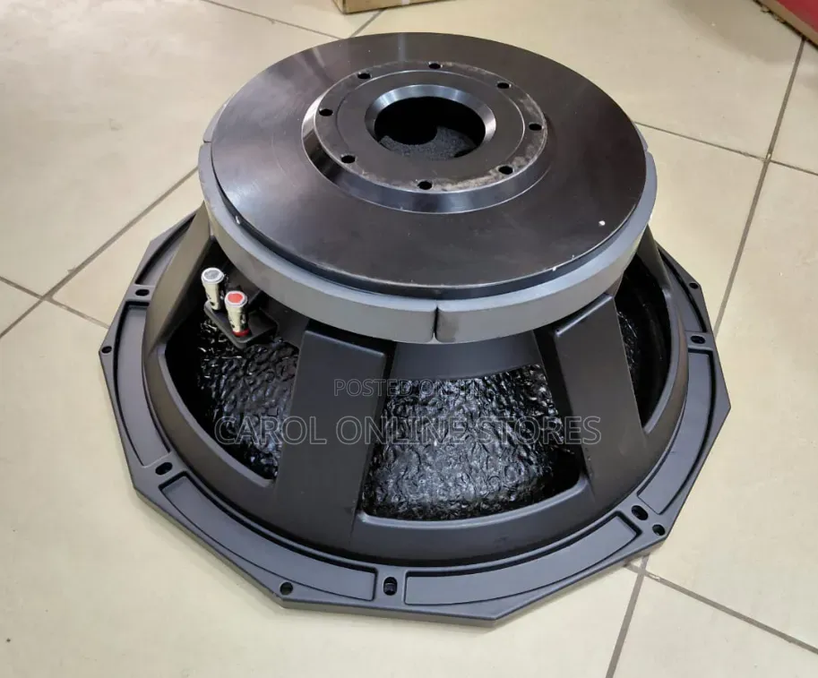 21 Inch Heavy Duty Naked/Component Professional Subwoofer Speaker