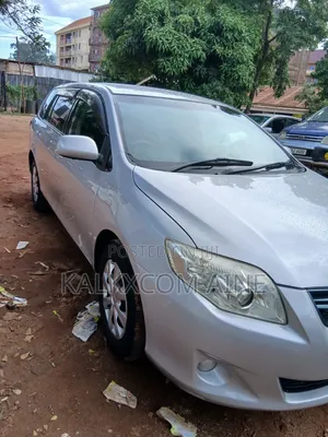 Toyota Corolla Fielder 2007 Silver
