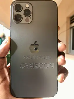 Apple iPhone 12 Pro 256 GB Gray