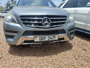 Mercedes-Benz M Class 2014 Gray