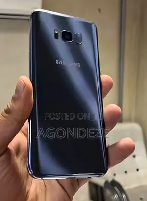Samsung Galaxy S8 Plus 64 GB Gray