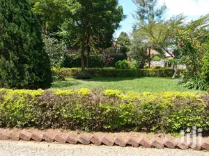 5 Bedroom House In Naguru For Rent