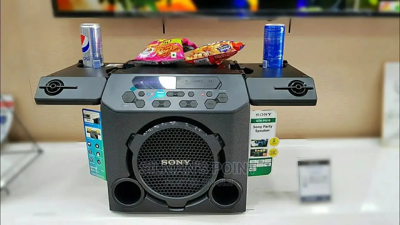 SONY Pg10 Portable Outdoor Speaker