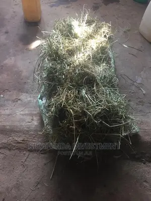 Rabbit Hay 17 KGS