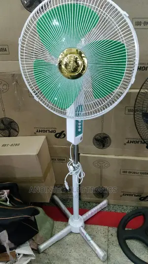 Evernal Stand Fan