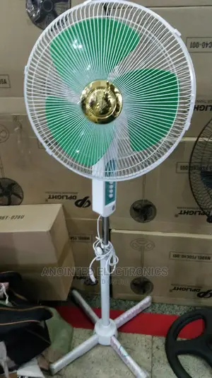 Evernal Stand Fan