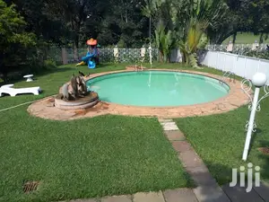 An Appartment For Rent