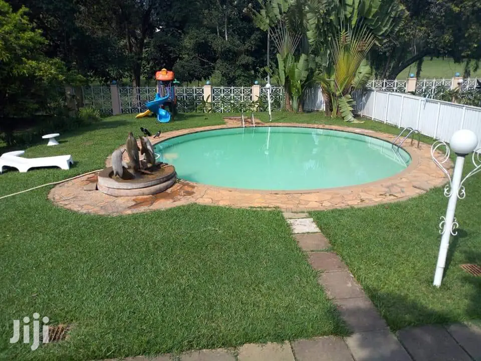 An Appartment For Rent