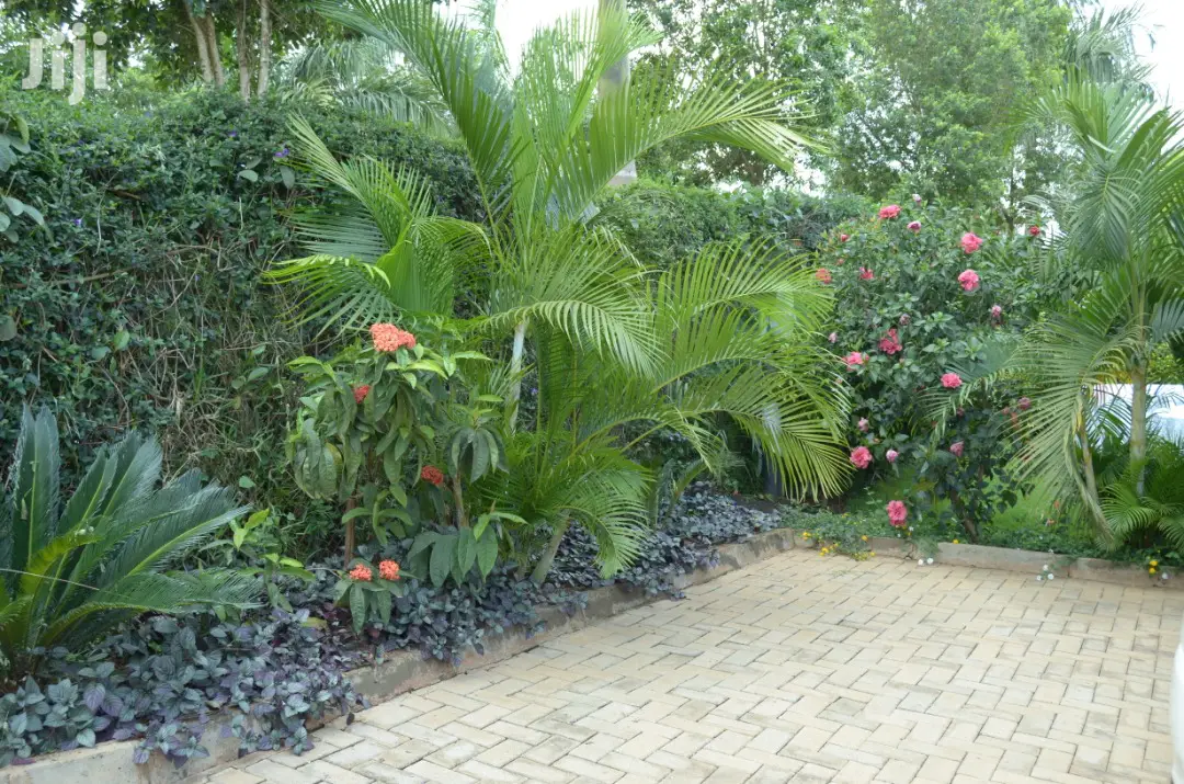 5bdrm Duplex in Kololo Property, Kampala for Rent