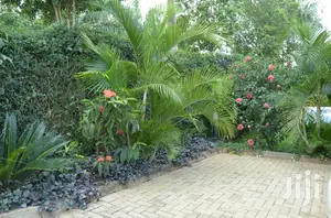 5bdrm Duplex in Kololo Property, Kampala for Rent