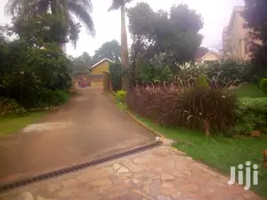4 Bedroom House In Kampala For Rent