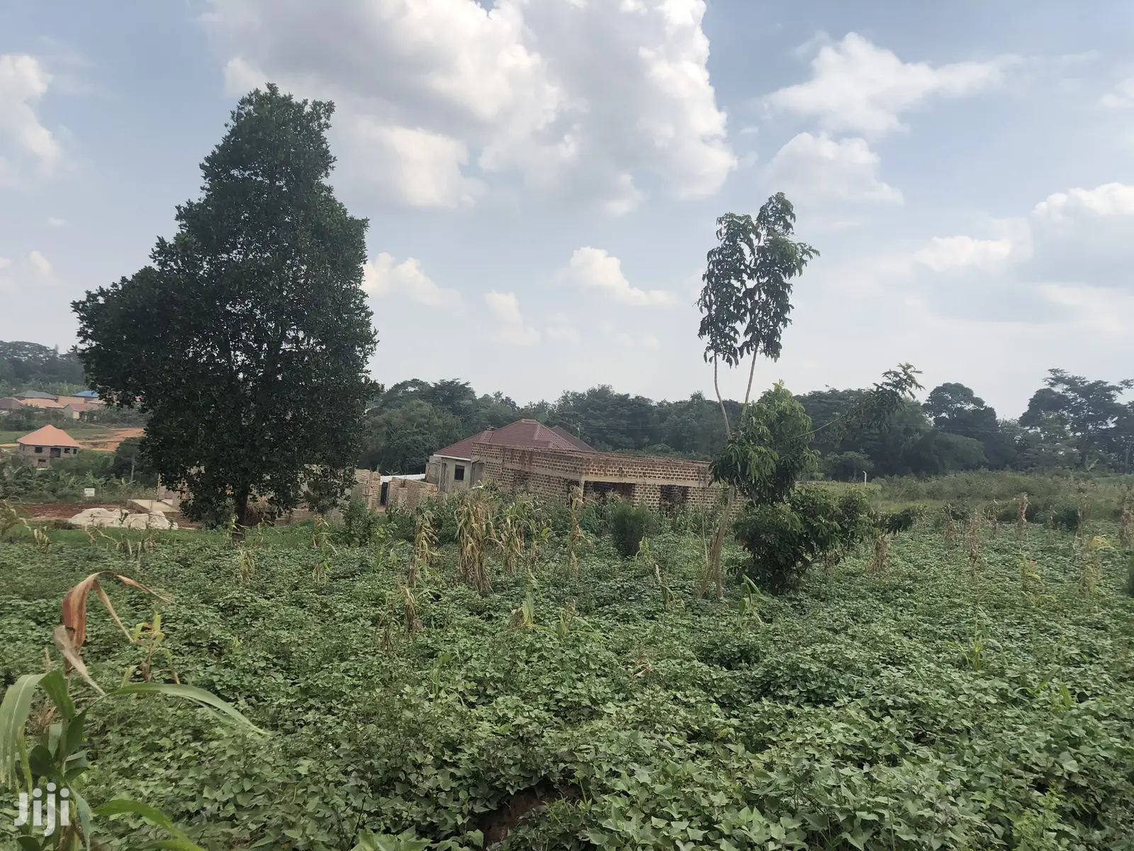 Nakwero Cute Plot Near Tarmack on Sell