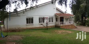 Four Bedroom House In Muyenga For Rent