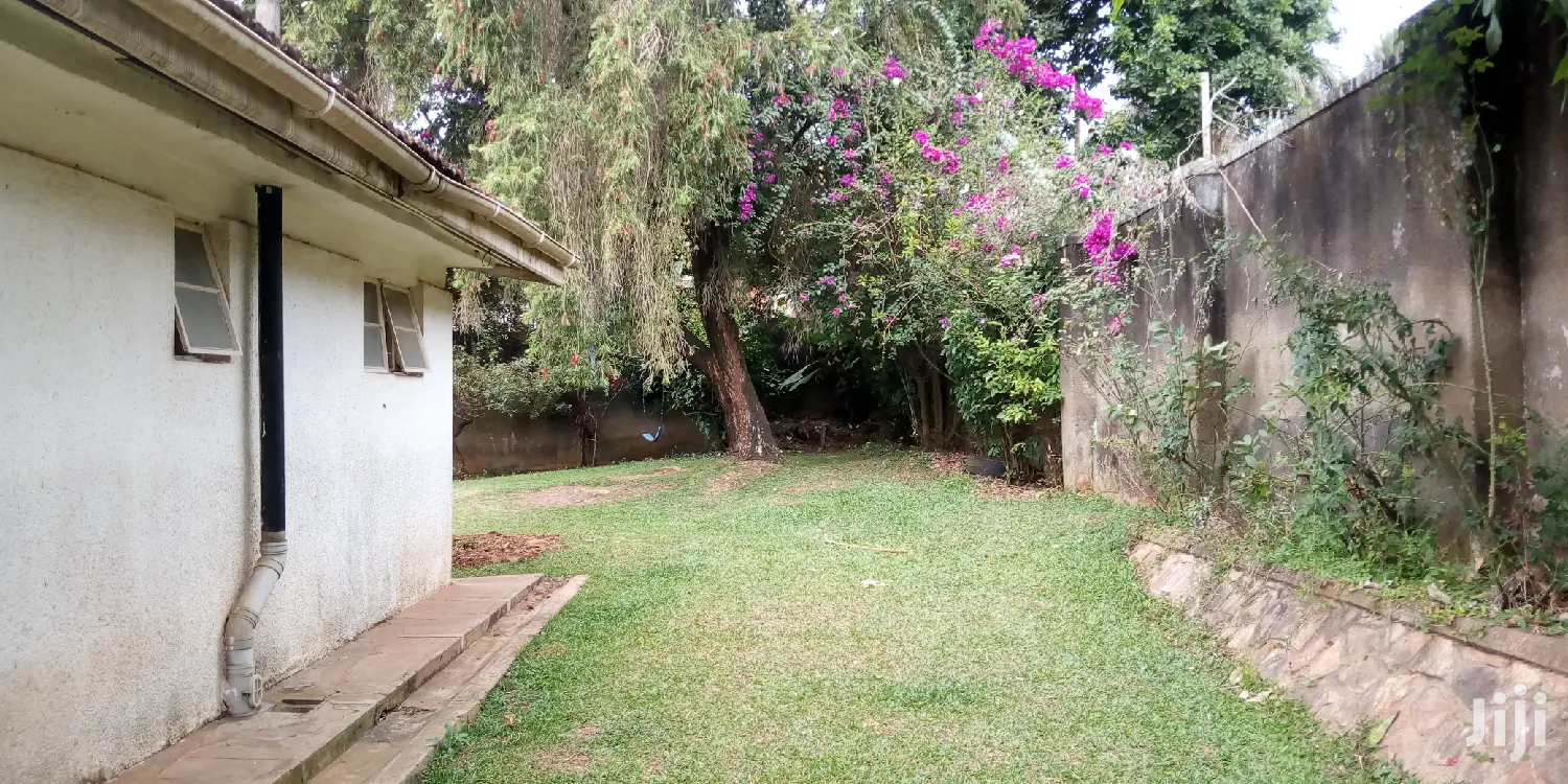 Four Bedroom House In Muyenga For Rent