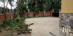 Duplex House Is For Rent I