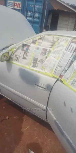 Photo - Auto Spray .