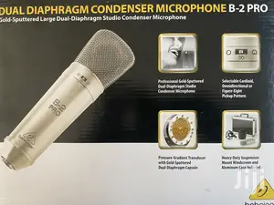 Studio Microphone B2