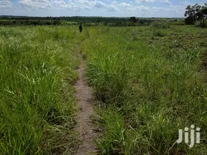 A Fertile Virgin Farmland for Sale in Nwoya District