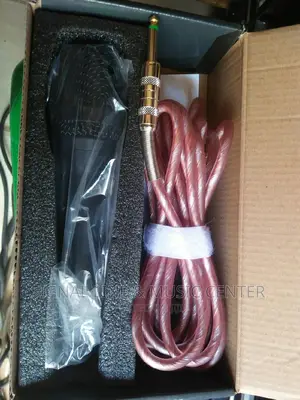 RMW D9 Microphone Wired