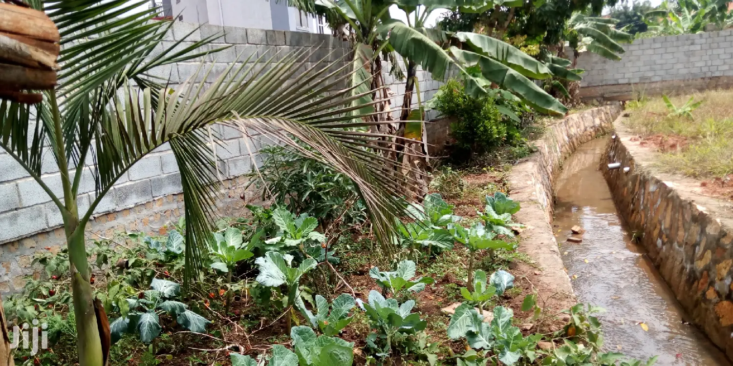 Kyanja Plot Is For Sale