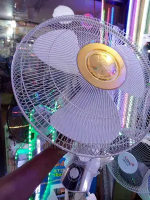 Vettel Ceiling Fans