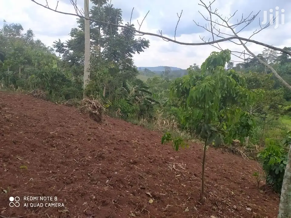 15 Acres Of Land In Najjembe Jinja Road For Sale in Kampala Land