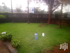 4 Bedroom House In Kololo For Rent