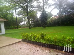 Diplomatic Mansion
