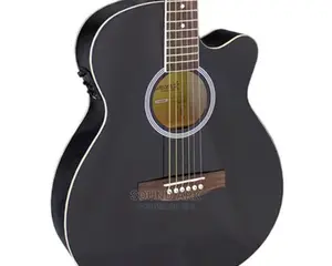 Acoustic Guitar Powered