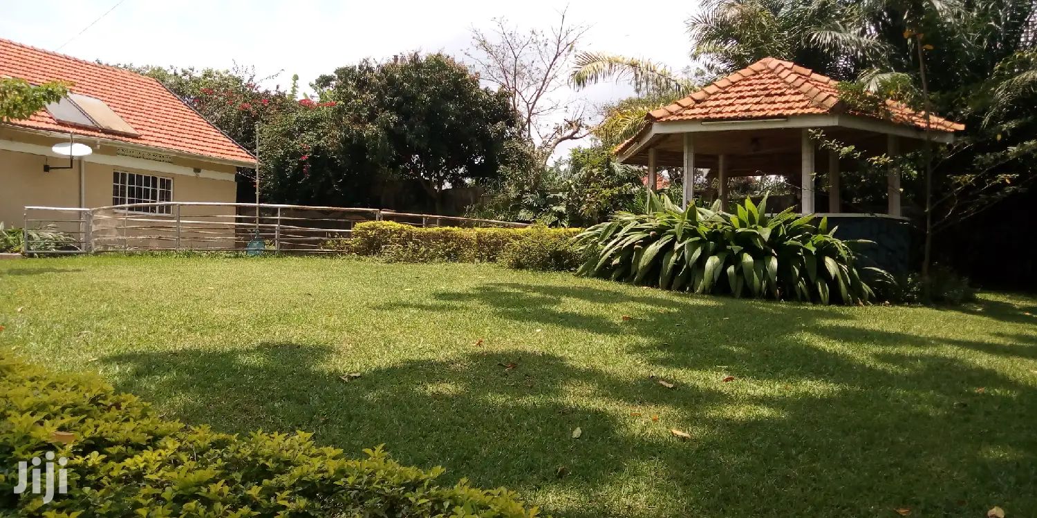 Bugolobi House Is Available For Rent