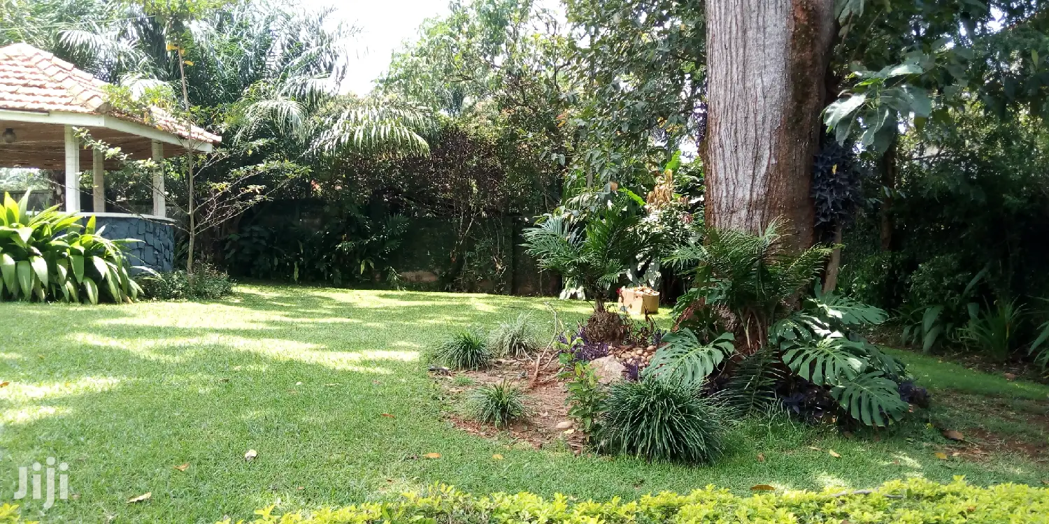 Bugolobi House Is Available For Rent