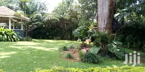 Bugolobi House Is Available For Rent
