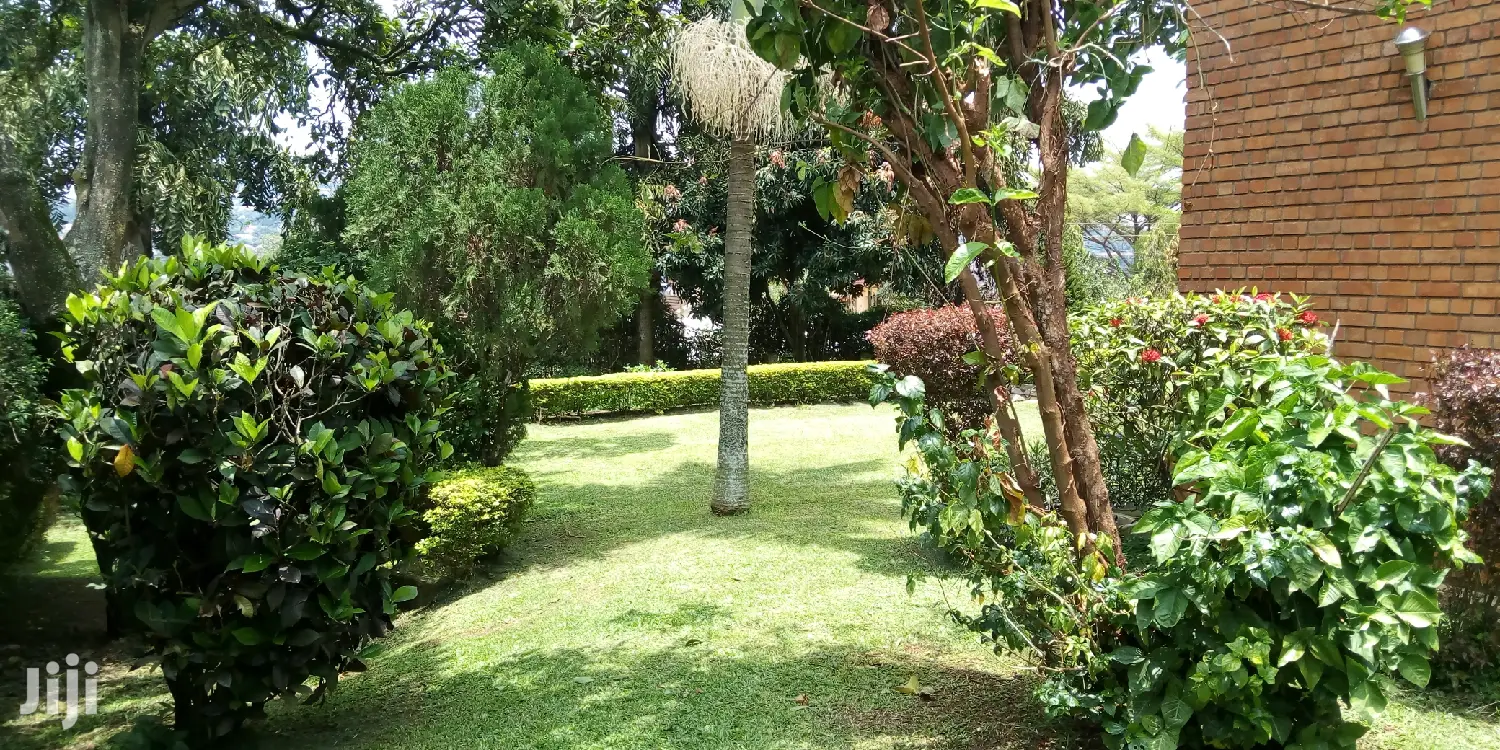 Bugolobi House Is Available For Rent