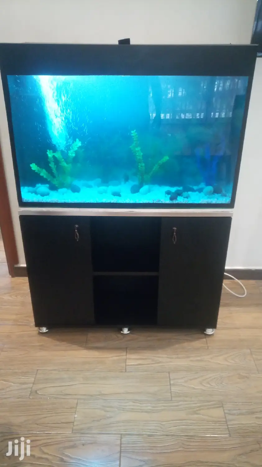 Beautiful Fish From Aqua 2000