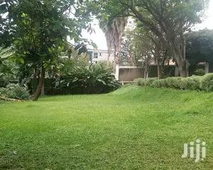 House Is For Rent