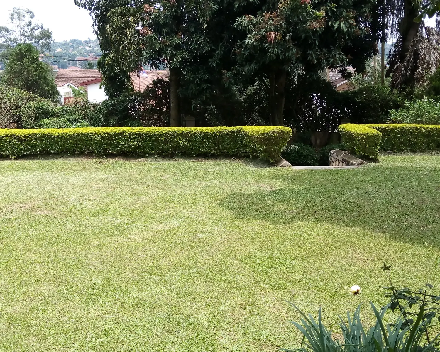 3 Bedroom House In Bugolobi For Rent