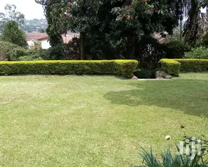 3 Bedroom House In Bugolobi For Rent